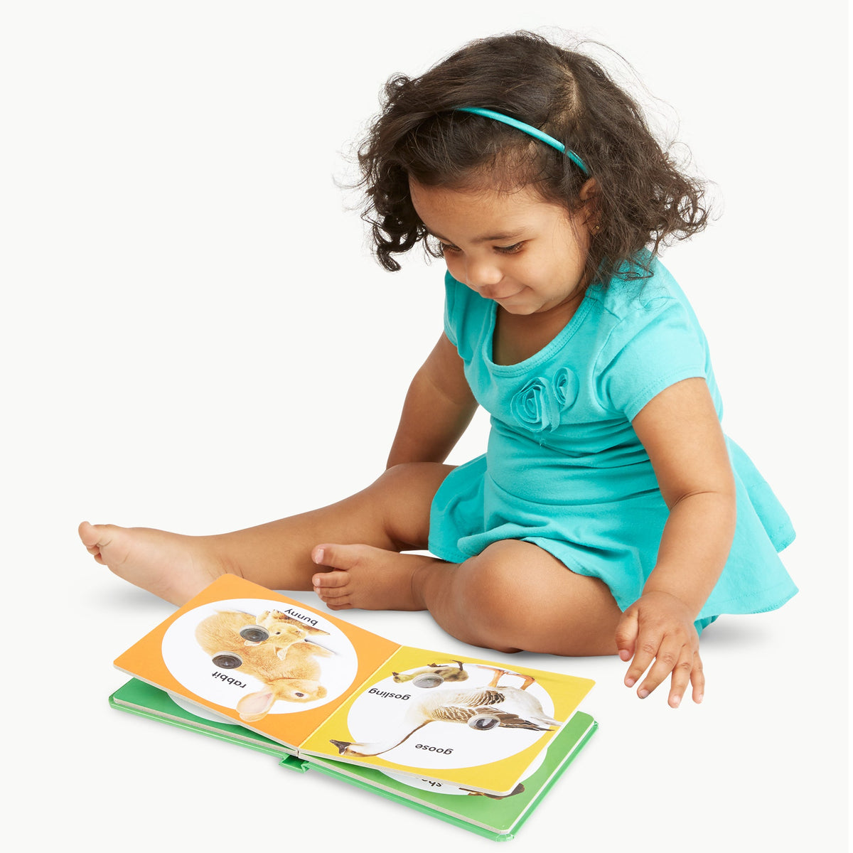 Poke-a-Dot: Farm Animal Families Board Book G8