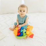 Baby Sensory Play Gift Bundle L3