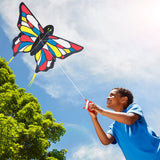 Beautiful Butterfly Kite P1
