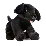 Benson Black Lab Puppy Dog Stuffed Animal D2