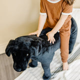 Black Lab Giant Stuffed Animal A4