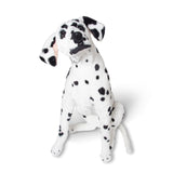 Dalmatian Giant Stuffed Animal J0