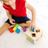 Disney Mickey Mouse & Friends Wooden Shape Sorting Cube R2