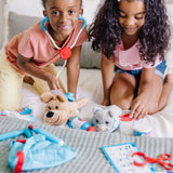 Examine & Treat Pet Vet Play Set Y1