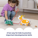 Feed, Walk & Poo Pup Play Set Y7