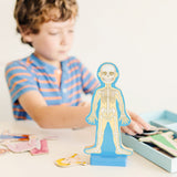 Magnetic Human Body Play Set D3