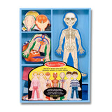 Magnetic Human Body Play Set D3