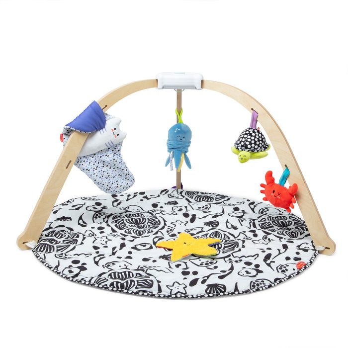 Ocean Easy-Fold Play Gym L8