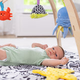 Ocean Easy-Fold Play Gym L8