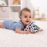 Ocean Tummy Time Triangle Baby Toy A8