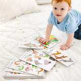 Poke-A-Dot Jumbo Number Learning Cards M6