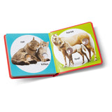 Poke-a-Dot: Pet Families Board Book T7