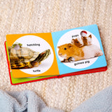 Poke-a-Dot: Pet Families Board Book T7