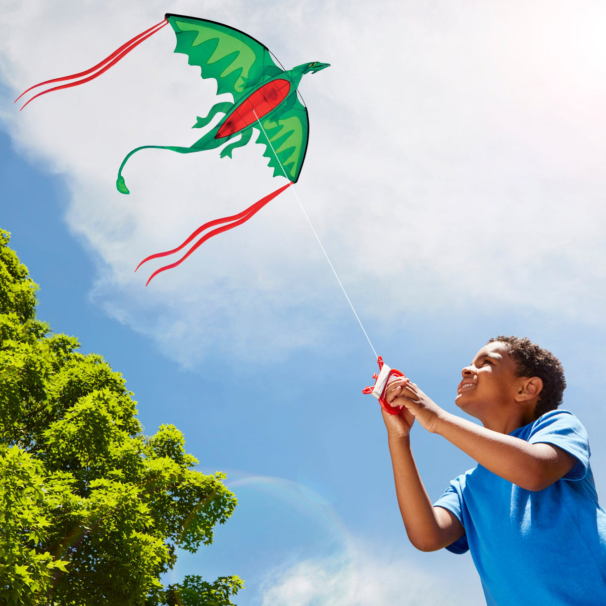 Winged Dragon Shaped Kite A6