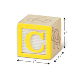 Wooden ABC/123 Blocks W9