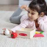 Wooden Food Groups Play Set – Produce C6